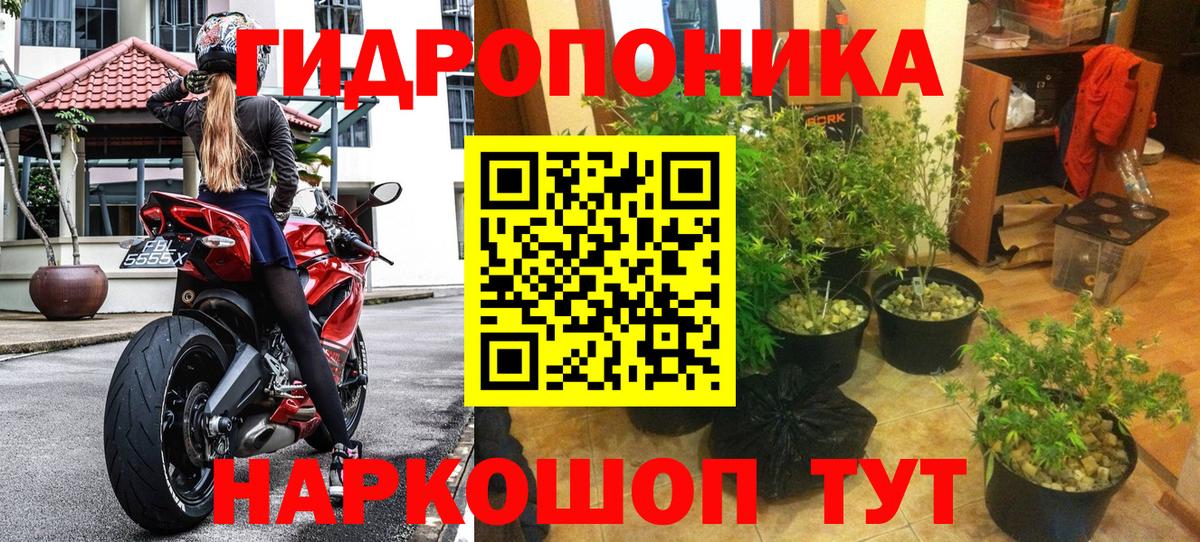 Бошки Шишки White Widow  Каннабис THC 21%  МАРИХУАНА сатива  Вход с VPN  Домодедово  Бошки марихуана OG Kush 